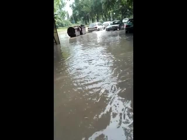 Порой във Варна