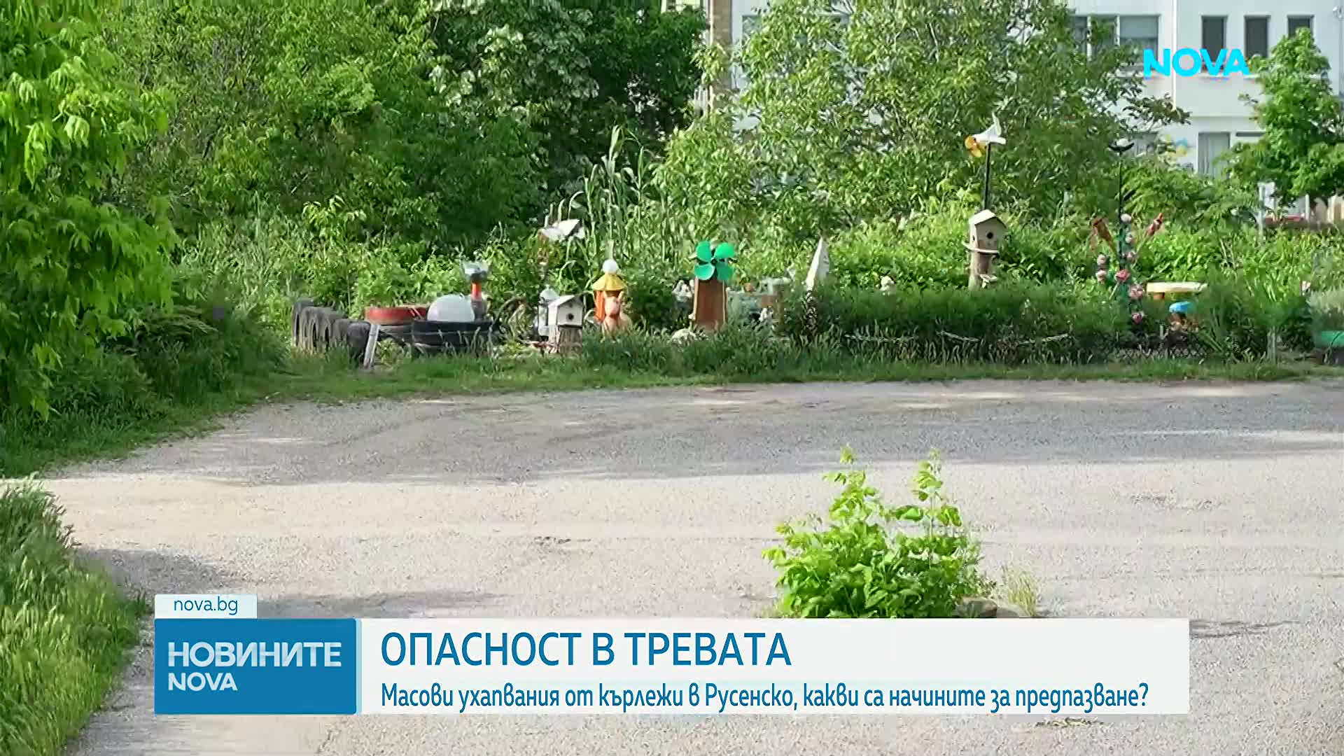 Какво да правим при ухапване от кърлеж