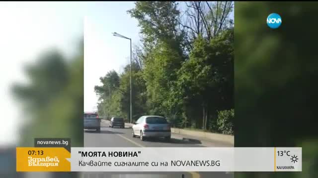 "Моята новина": Кон на Околовръсното в София