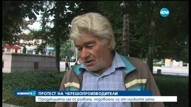 Производители на череши на протест