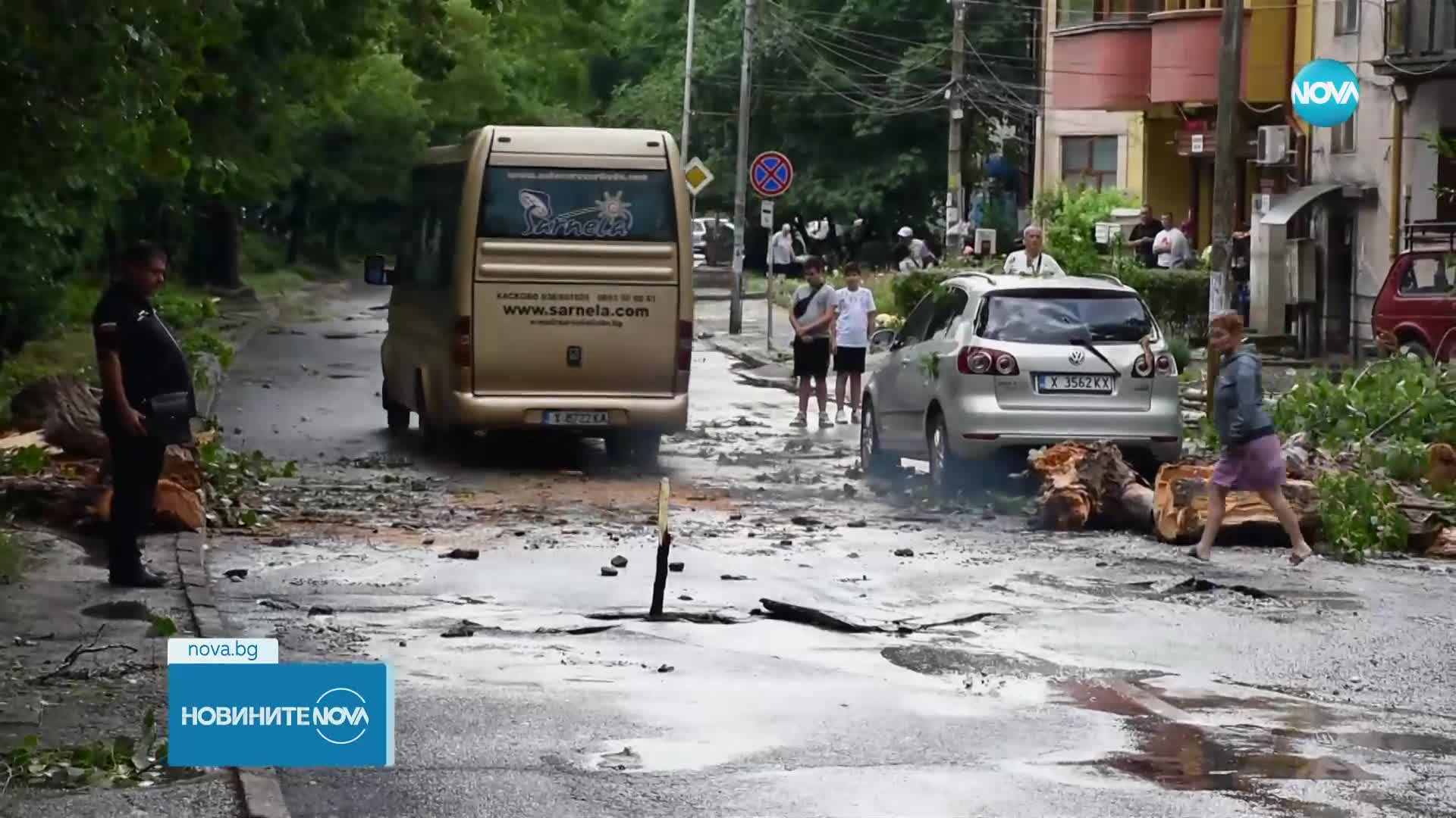 Силна буря удари Хасково, счупен клон смачка кола и затвори път