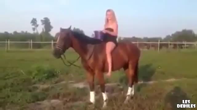 Тъпа , тъпа ... Колко да е тъпа ( Ледената кофа върху кон )