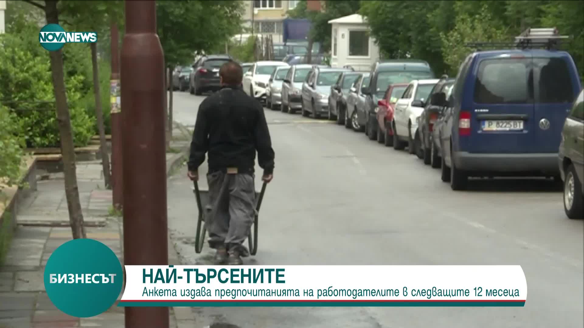Какви специалисти ще се търсят най-много през 2024 г. у нас