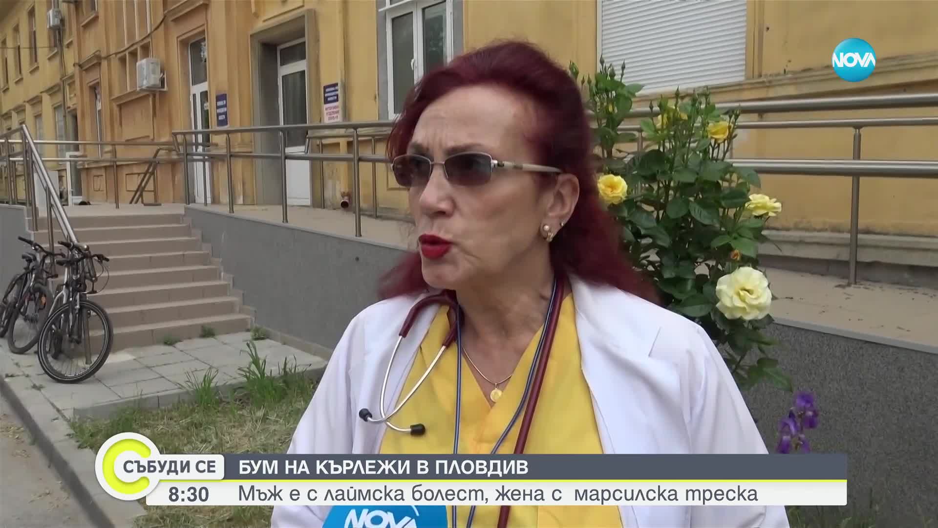 Бум на кърлежи в Пловдив, двама души са в инфекциозна клиника