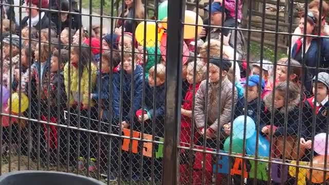 ЧРД на Бойко, Флорентина и Малкия принц!