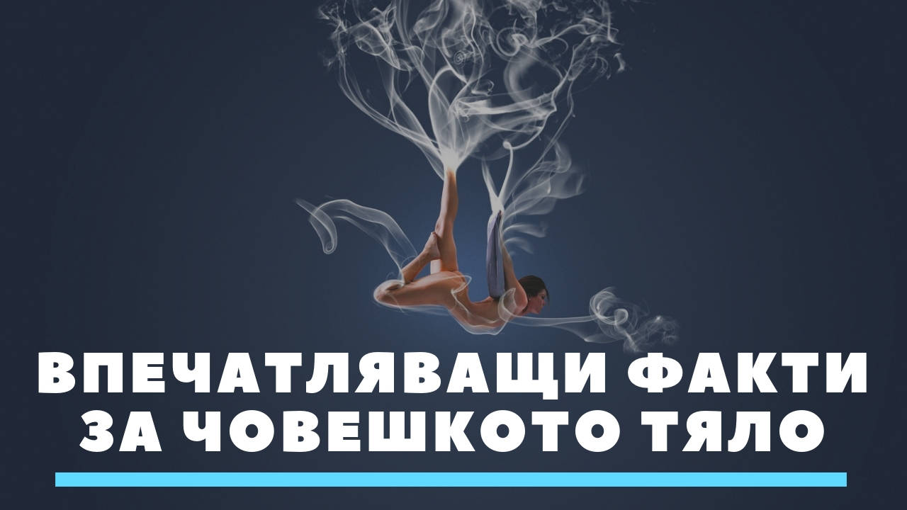 Впечатляващи факти за човешкото тяло