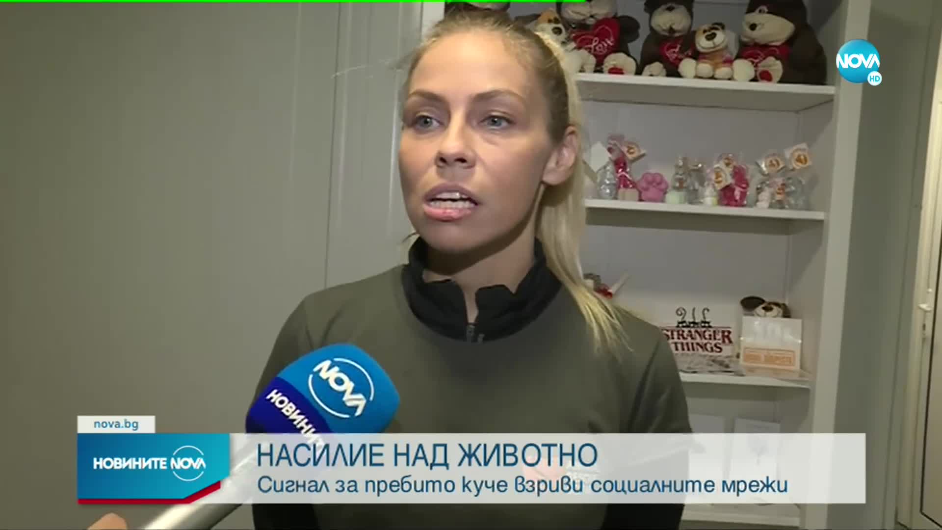 Новините на NOVA (17.11.2022 - следобедна емисия)