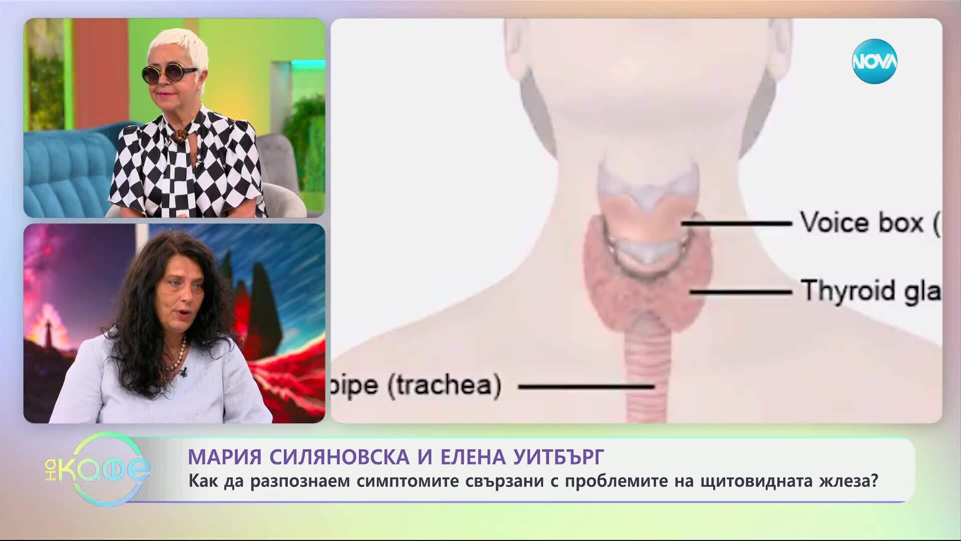 Модерната сол – риск за щитовидната жлеза