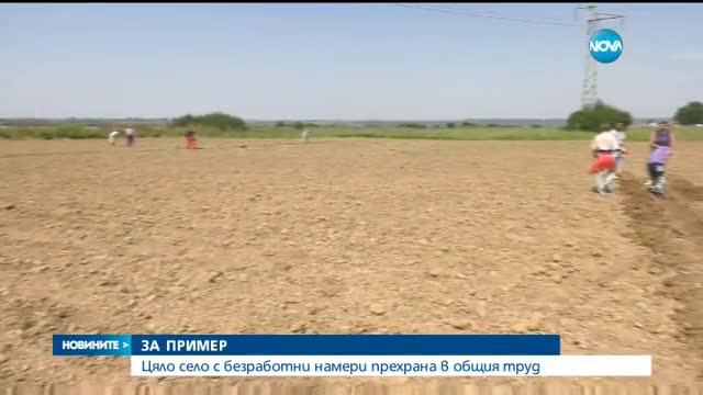 ЗА ПРИМЕР: Цяло село с безработни намери прехрана в общия труд
