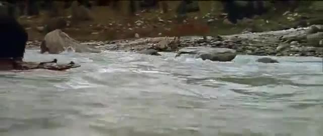 "the Bear" Силата на бащината обич ... Видео докосващо сърцето