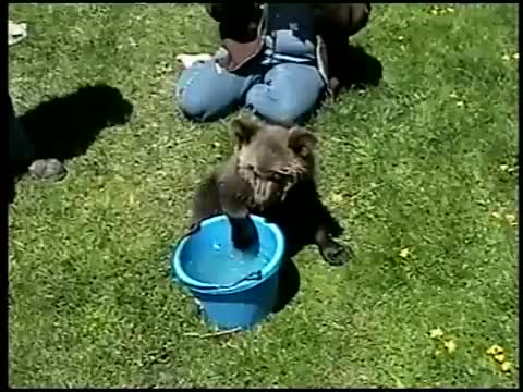 Сладко меченце иска да се къпе :) 