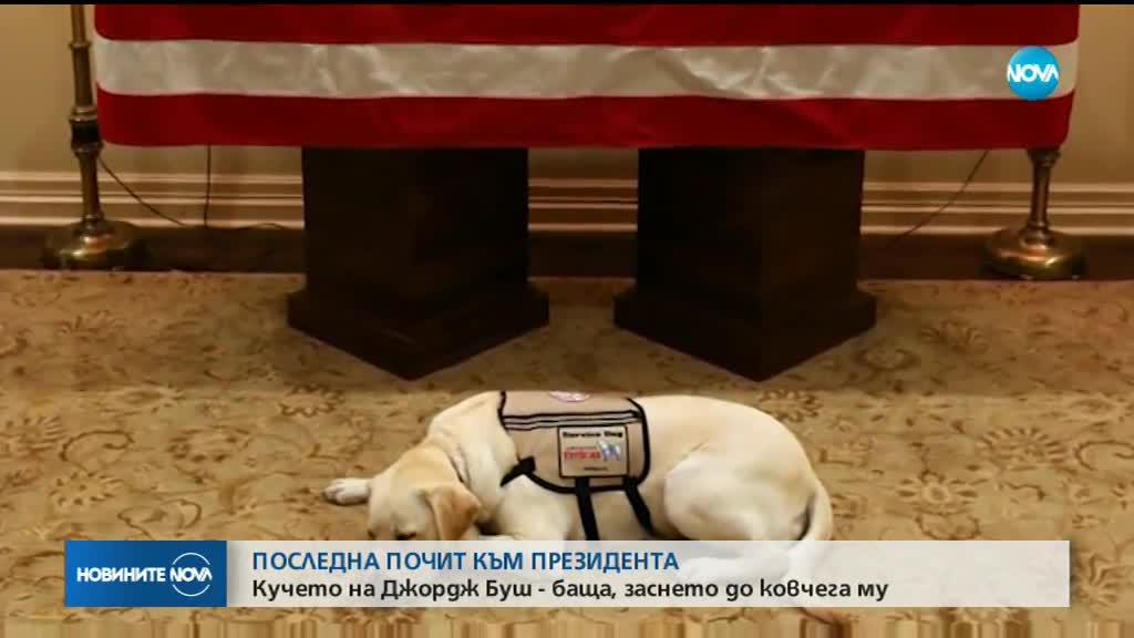 ТРОГАТЕЛНО: Кучето на Буш-старши лежи до ковчега му