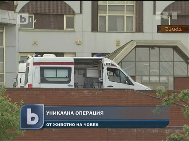 Уникалнo! Момиче с свинска сърдечна клапа - Присадиха й я в Русия