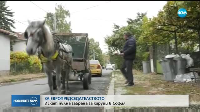 Искат пълна забрана за каруци в София