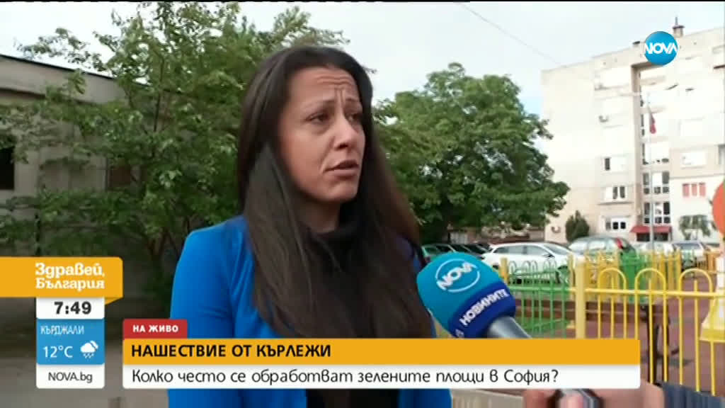 Нашествие от кърлежи в „Орландовци”