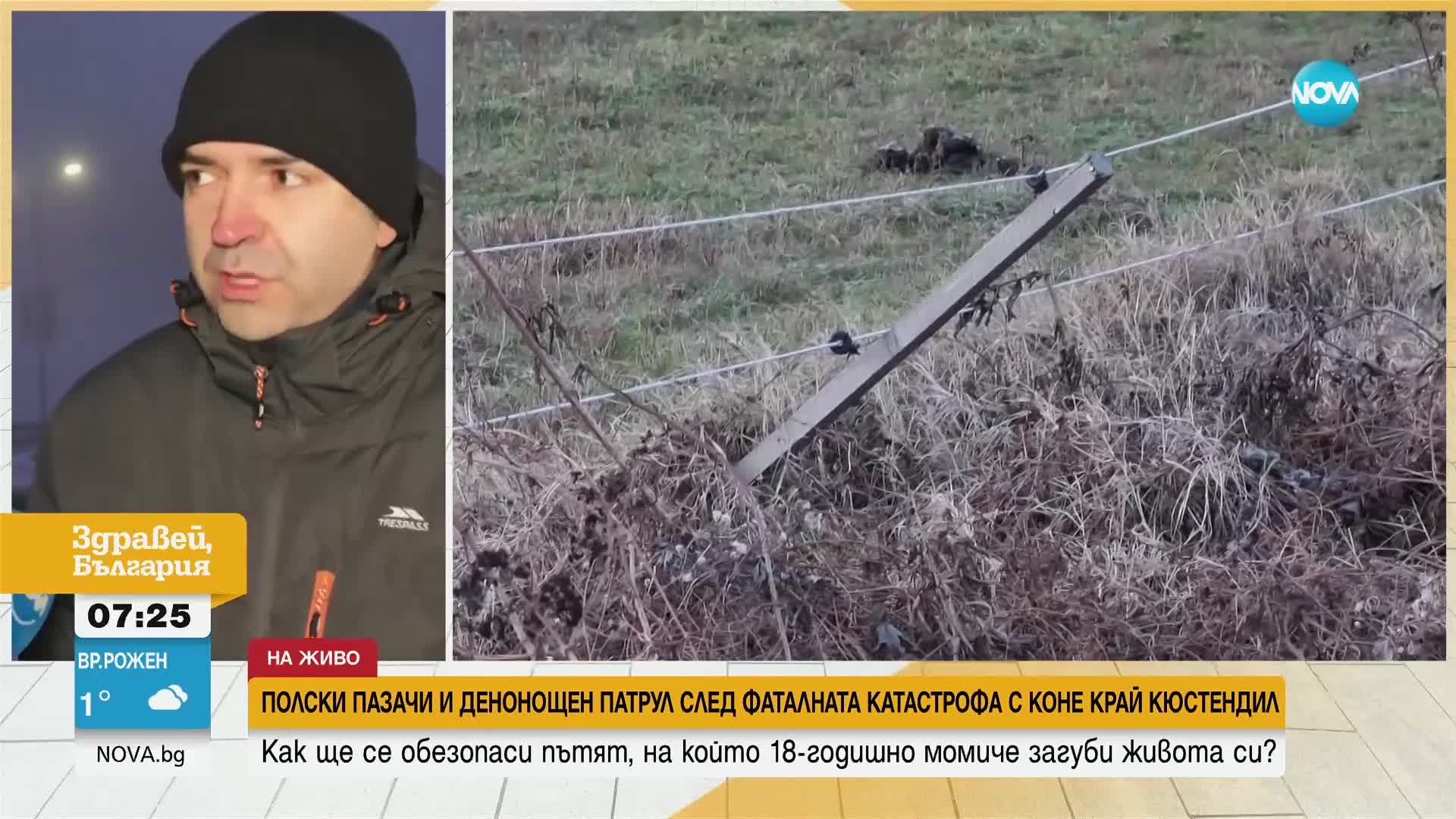 Какви мерки предприеха в Кюстендилско след смъртта на момиче заради коне на пътя