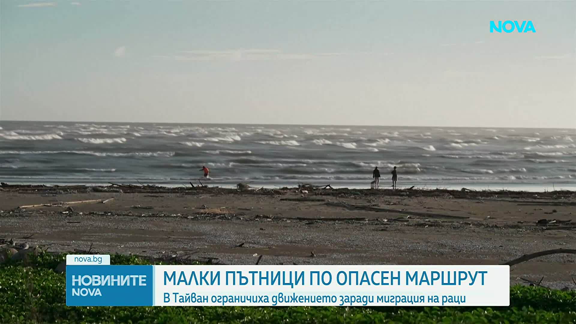В Тайван спряха движението заради миграция на раци