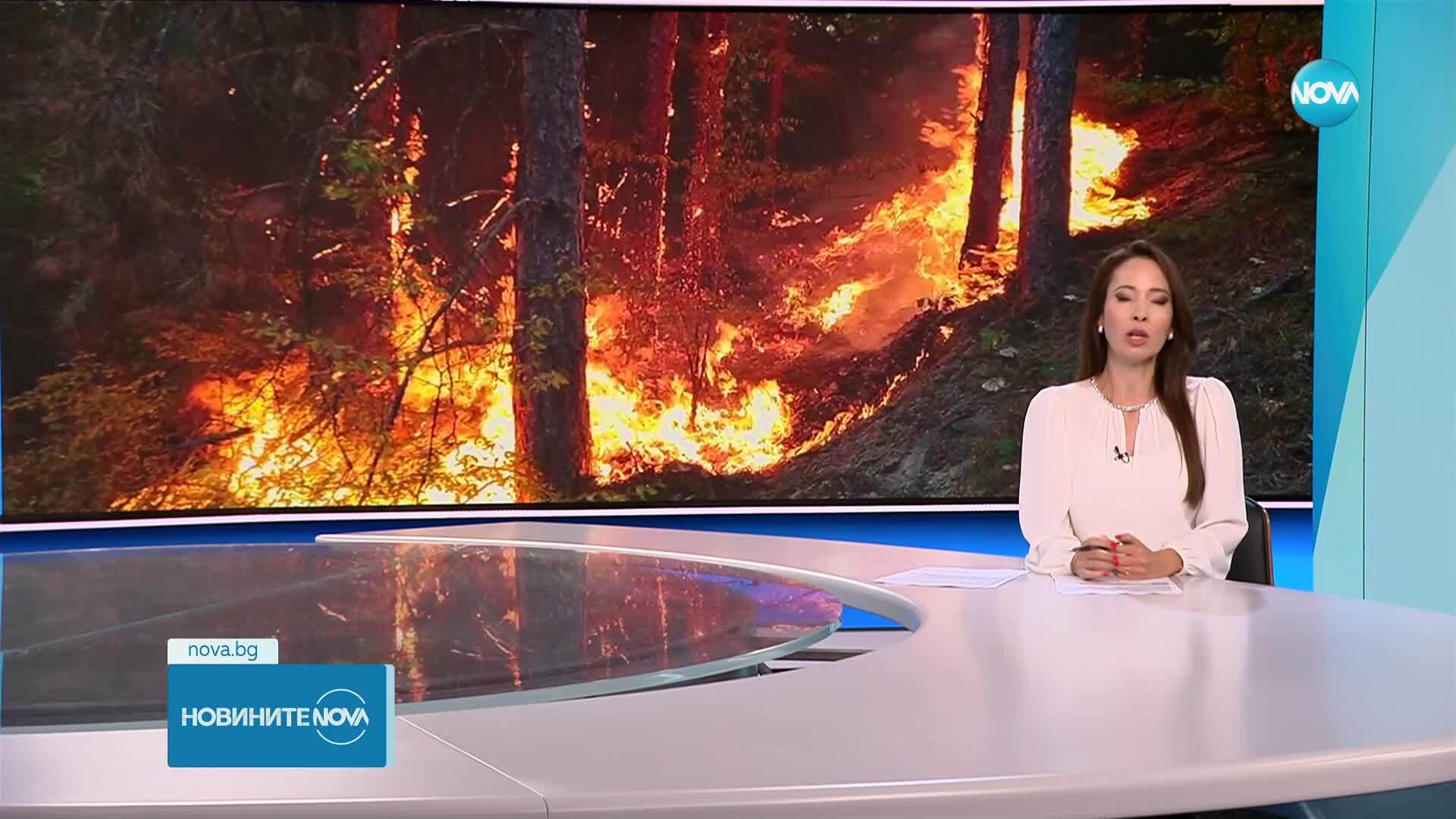 Новините на NOVA (14.07.2025 - обедна емисия)