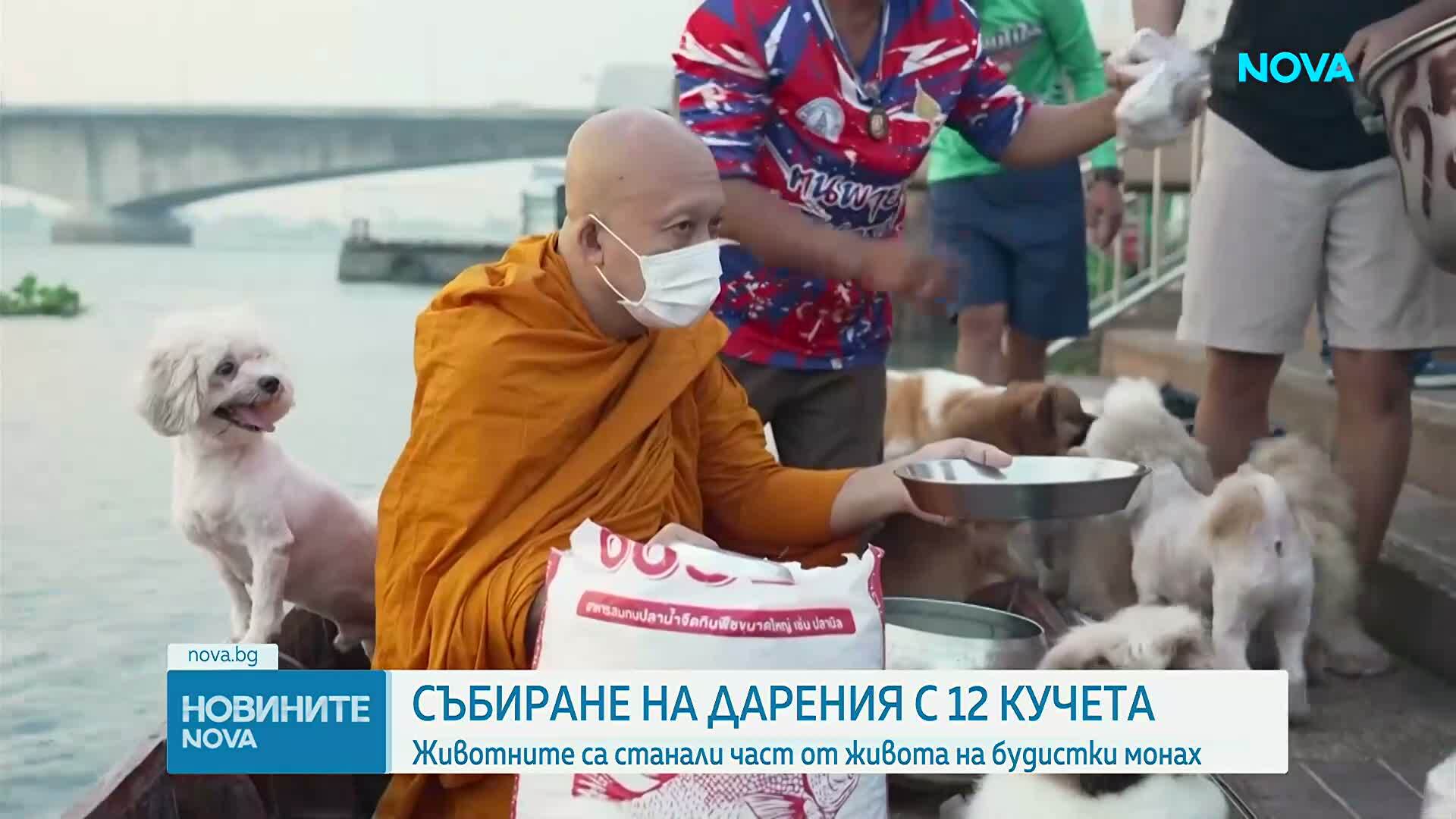 Будистки монах и 12 кучета се превърнаха в сензация по река Чао Прая