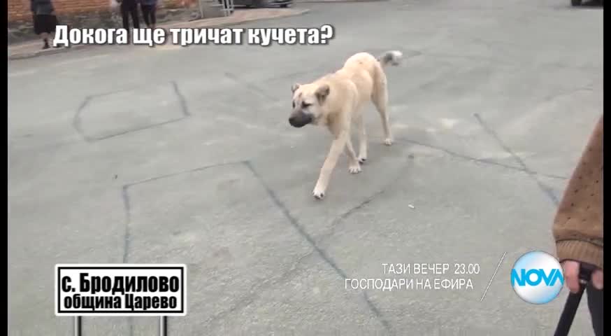 В "Господари на ефира" на 2 март очаквайте