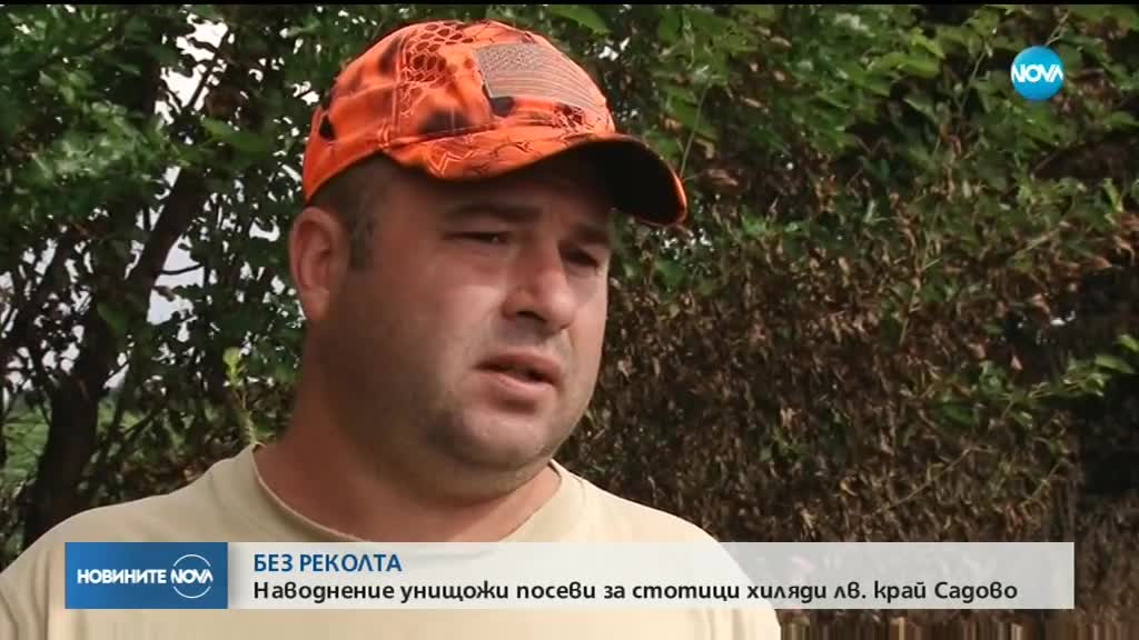 Хиляди декари унищожена реколта около Садово