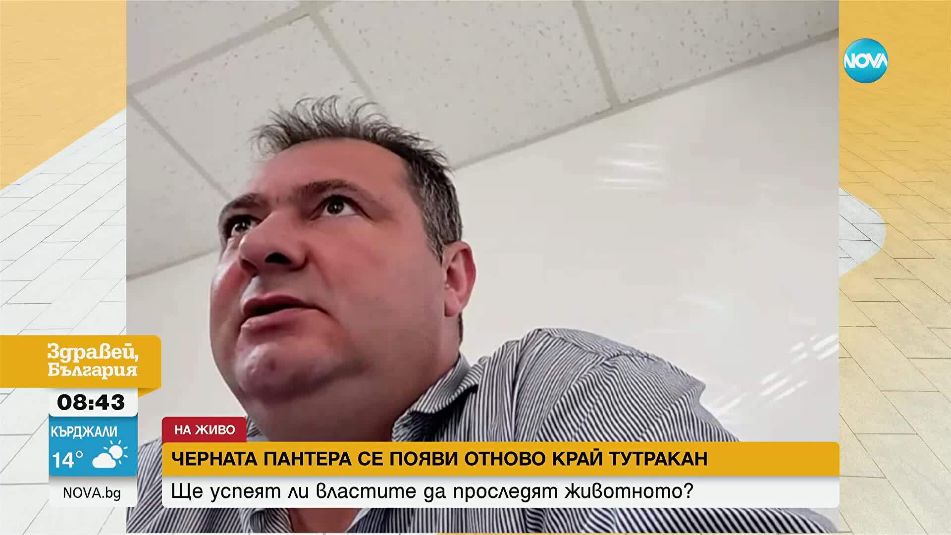 Кризисен щаб ще заседава в четвъртък в Тутракан заради черния леопард