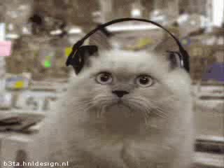 BoBole4ka kio4ek.REMIX *new*