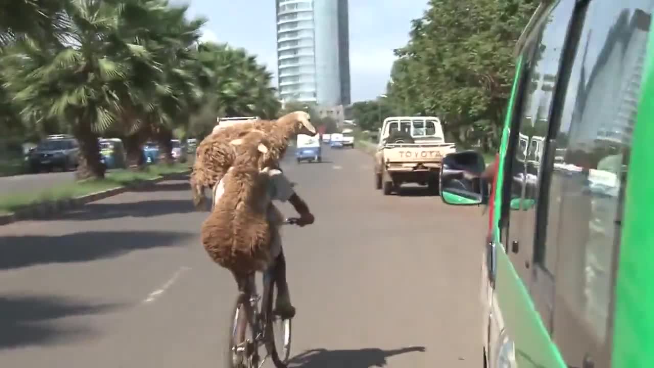 Карането на велосипед само с една ръка е трудно? Виж това!