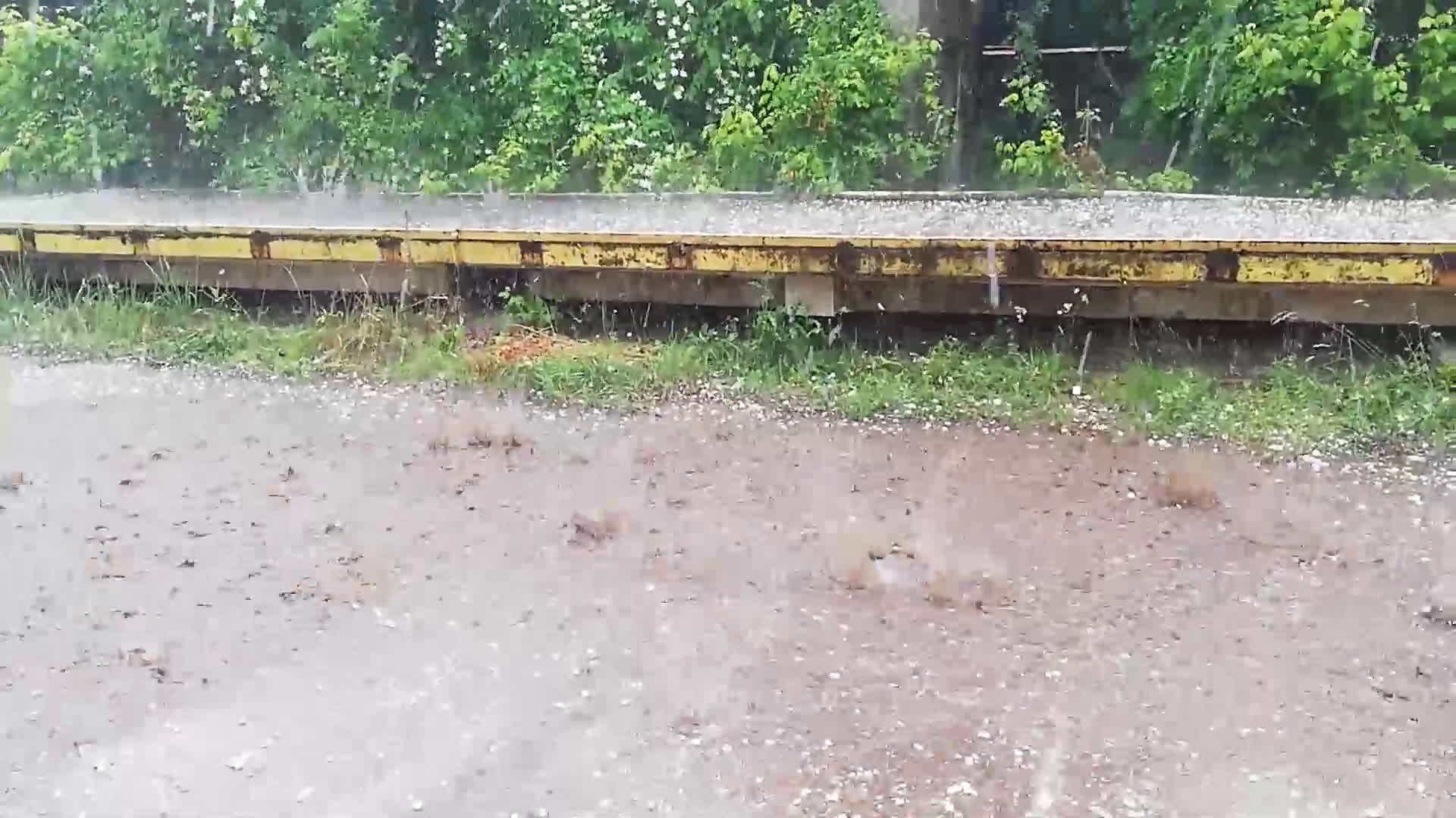 Градушка във Видин