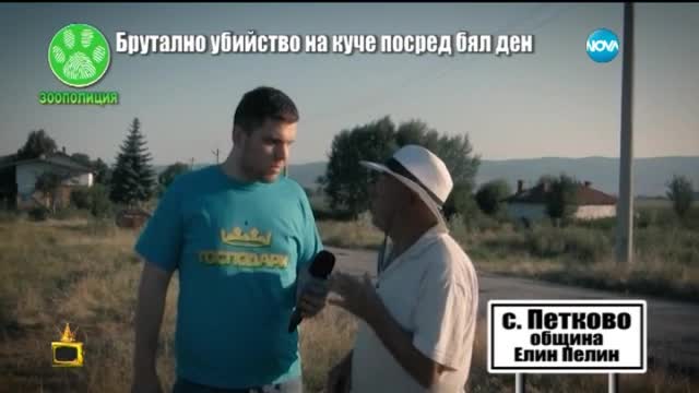 убийство на куче и самопризнания пред господарите - Господари на ефира (24.09.2015)