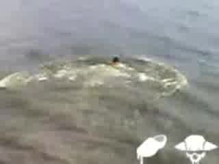 Не Влизайте Във Водата По Този Начин