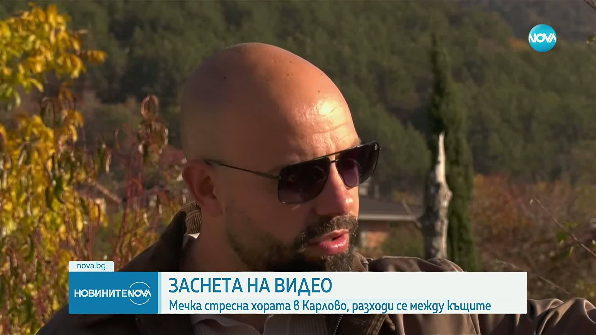 Мечка се разходи по улиците на Карлово
