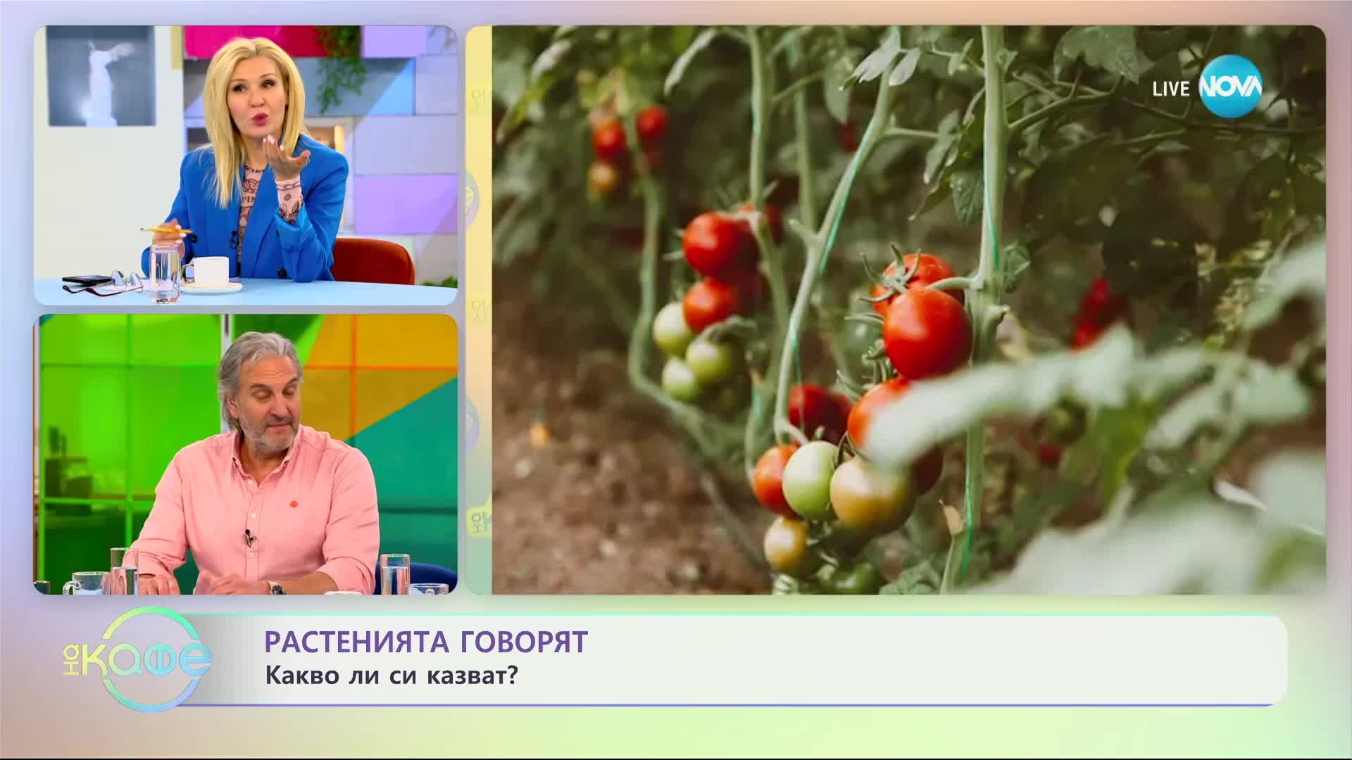 Растенията говорят: Какво ли си казват? - „На кафе” (28.03.2023)