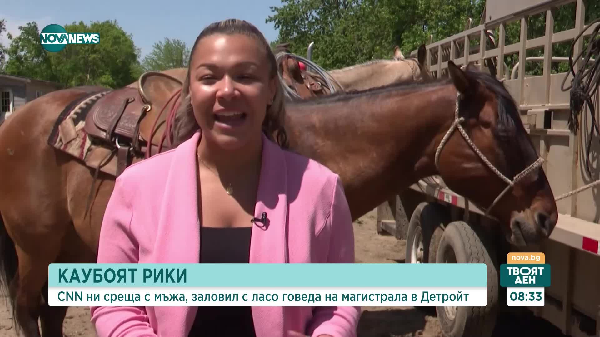 Мъж хвана с ласо говедо на магистрала в Детройт
