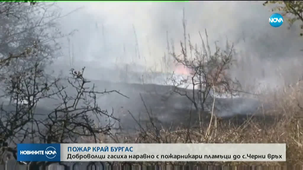 Стотици декари треви и храсти изгоряха край Бургас