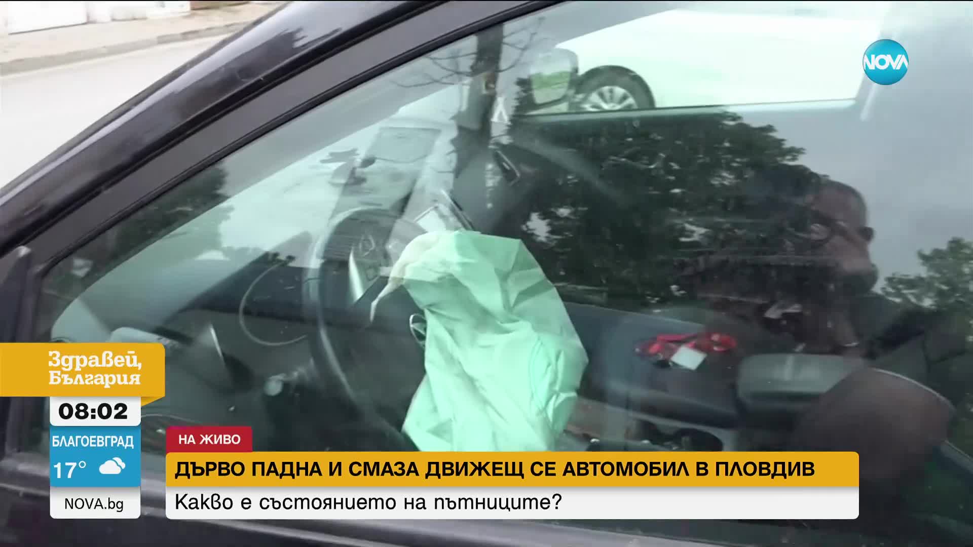 Дърво падна и смаза движещ се автомобил в Пловдив