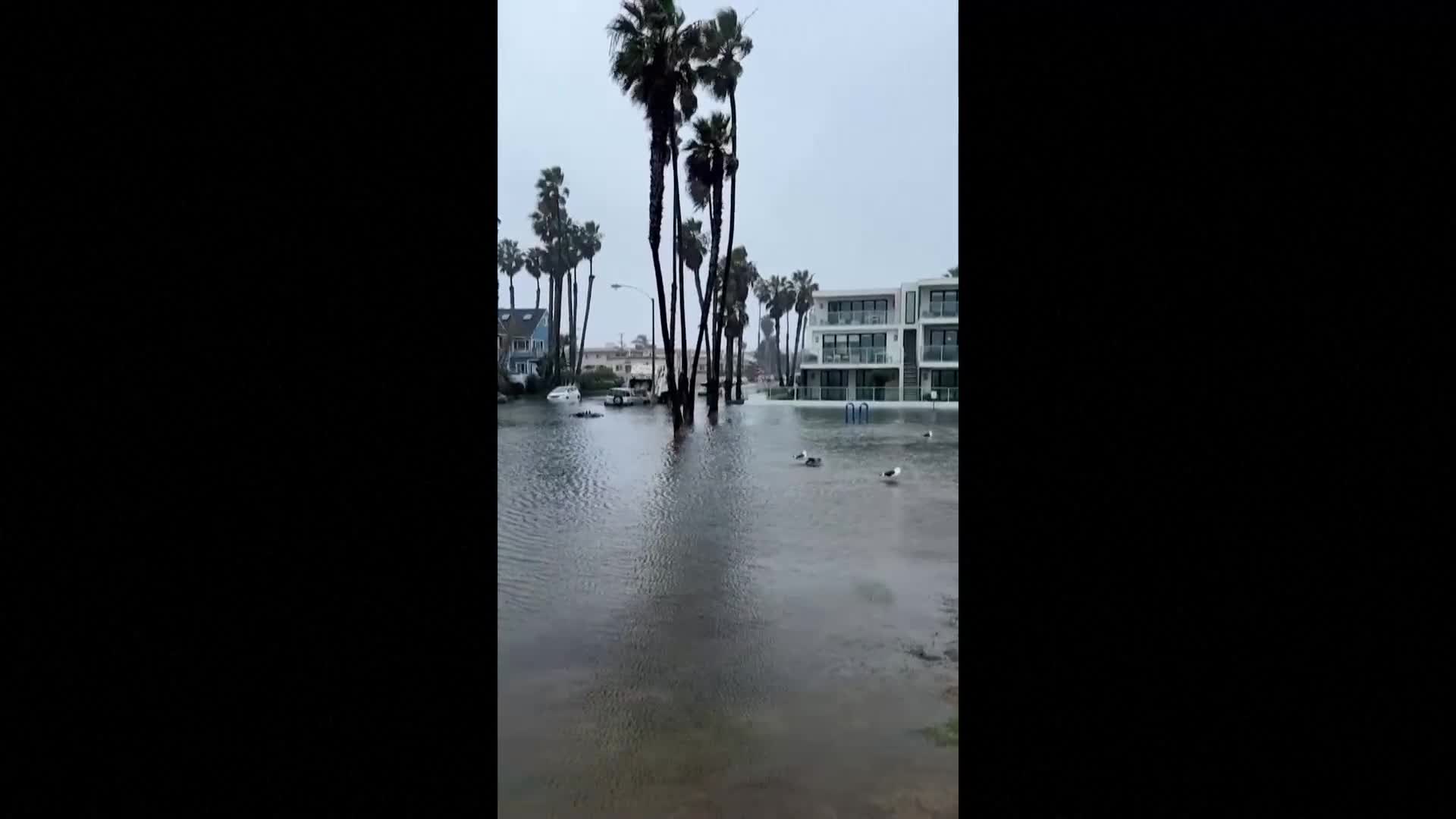 Мъж плава с кану по наводнените улици на Сан Диего (ВИДЕО)