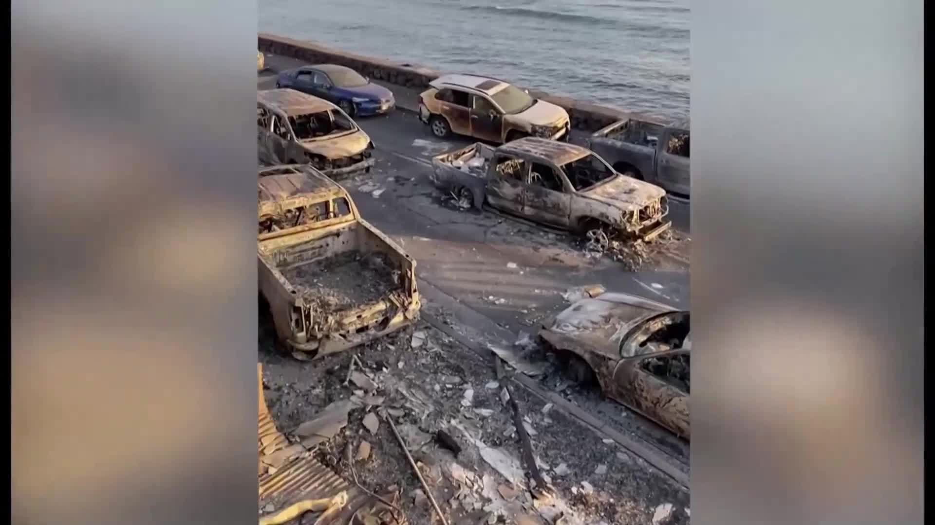 Опра Уинфри и Скалата учредиха фонд за подпомагане на пострадалите от пожарите в Мауи