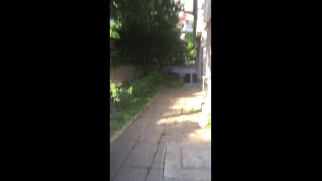 Пълно безхаберие и безотговорност