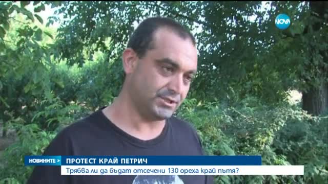 Жители на 10 петрички села искат изкореняването на 130 дървета - следобедна емисия