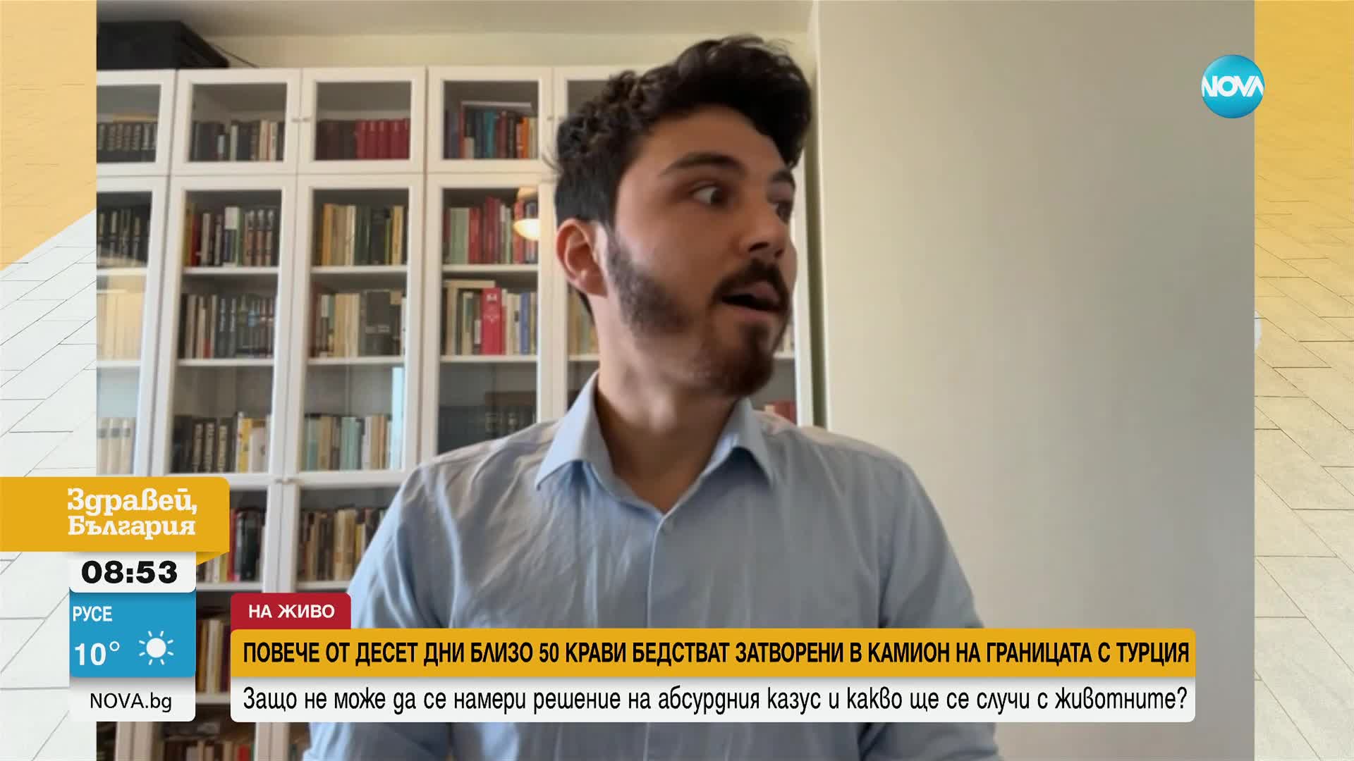 Защо няма решение на казуса с кравите, бедстващи в камион между Турция и България