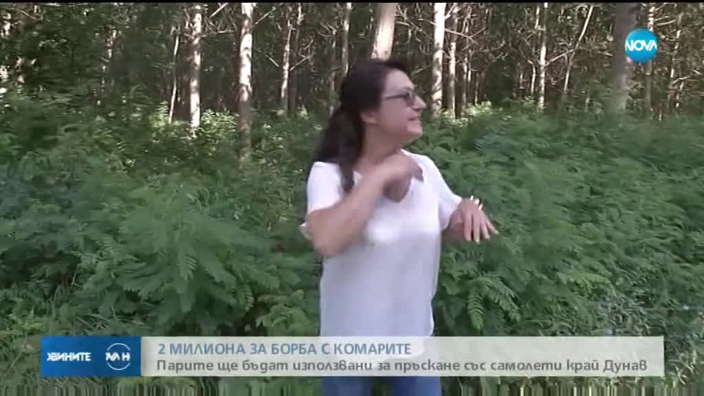 Правителството отпуска 2 млн. лв. за пръскане срещу комари край Дунав