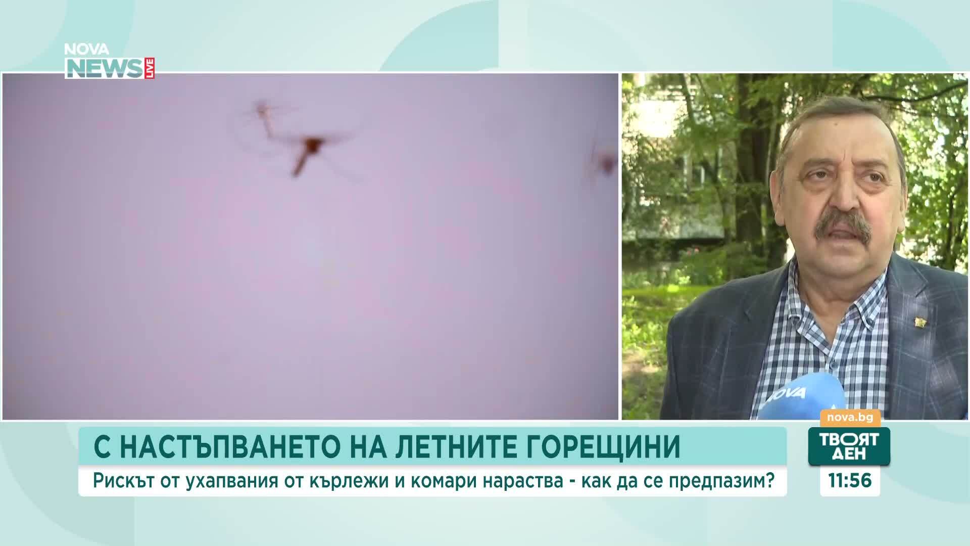 Рискът от ухапвания от кърлежи и комари нараства: Как да се предпазим