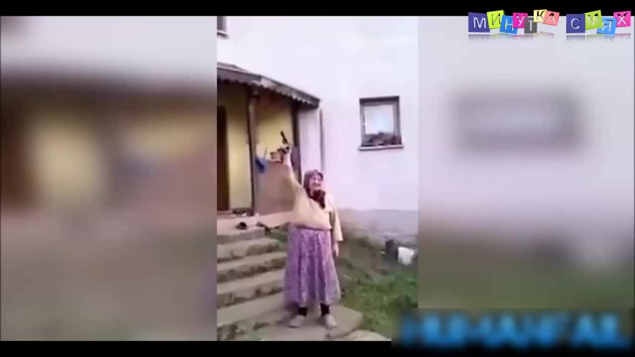 Пълна лудница - Минутка смях