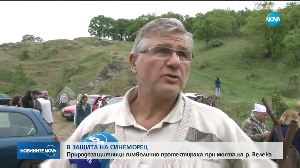 В ЗАЩИТА НА СИНЕМОРЕЦ: Природозащитници блокират моста на р. Велека