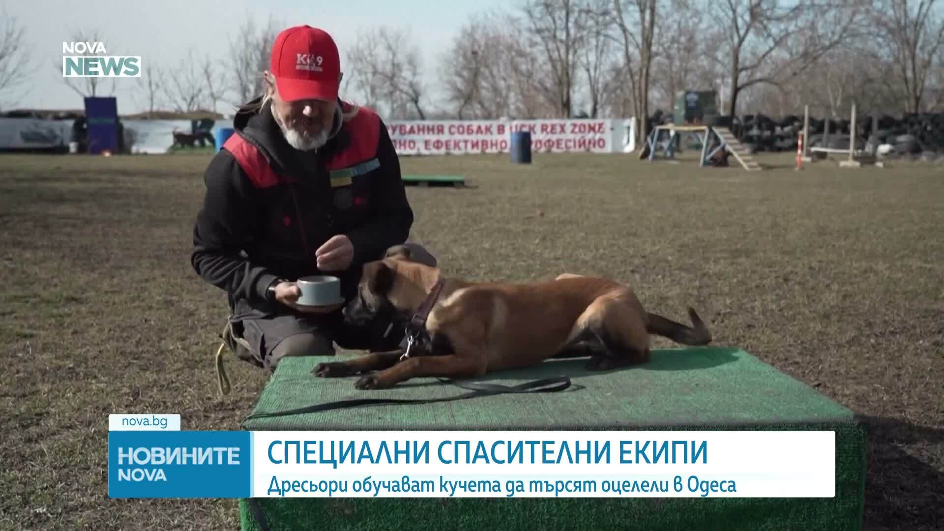 Дресьори обучават кучета да търсят оцелели в Одеса