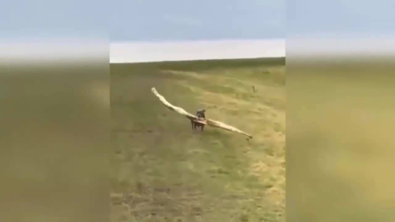 Да се пръснеш от смях с най-смешните изцепки от нета!
