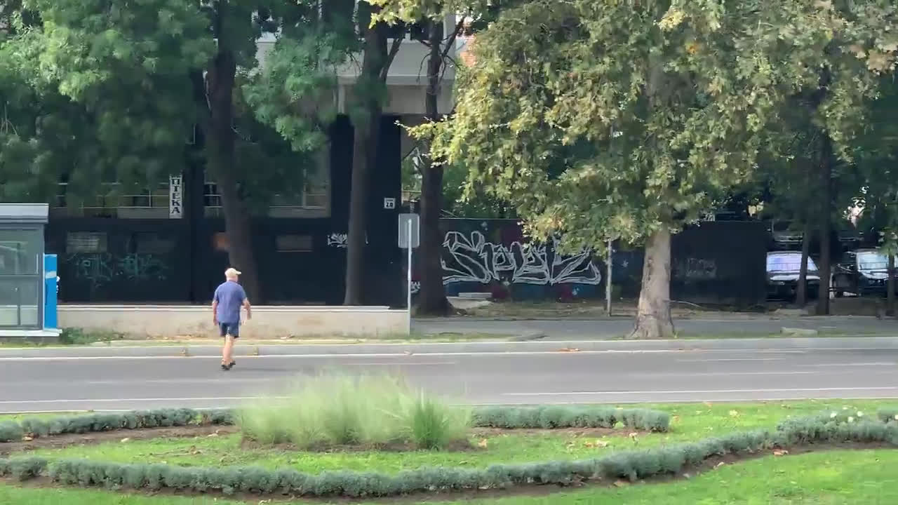 Опасно пресичане