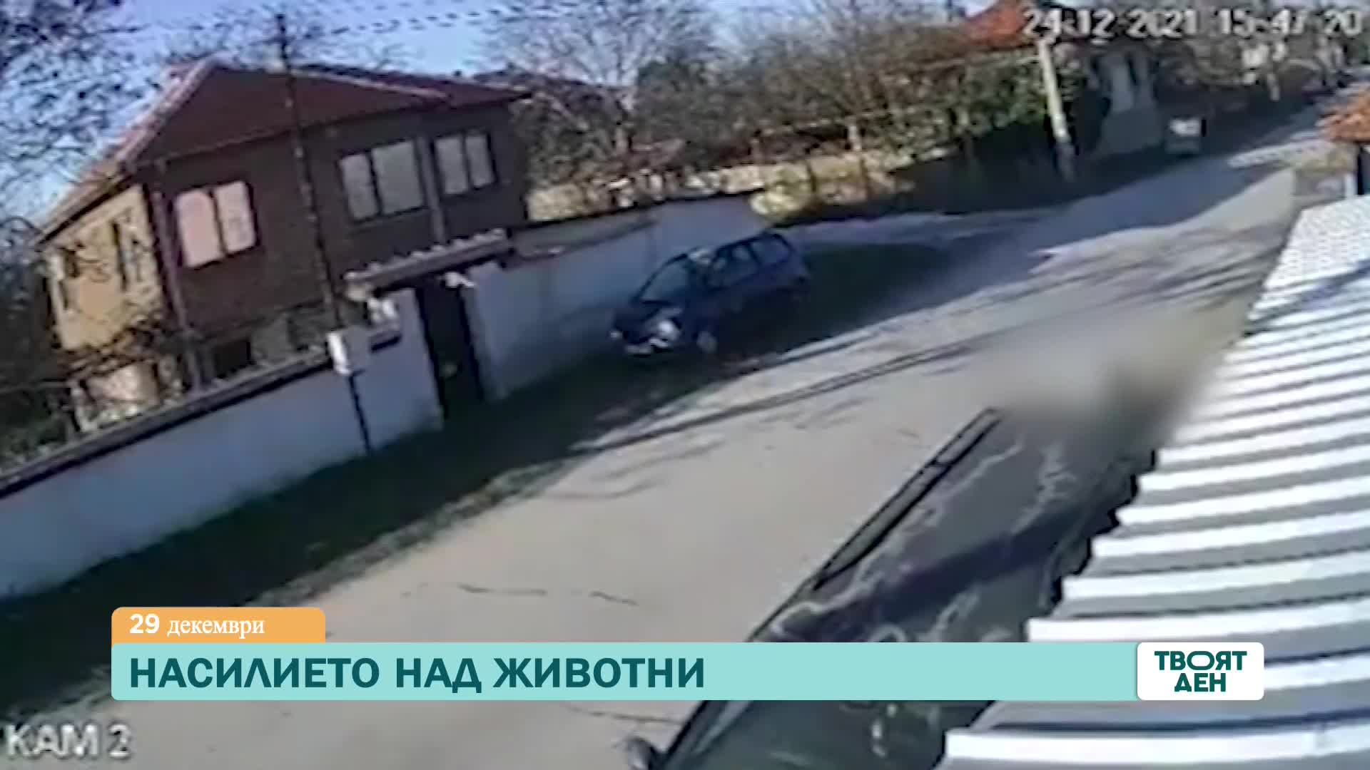 В "Твоят ден" на 29 декември ще видите