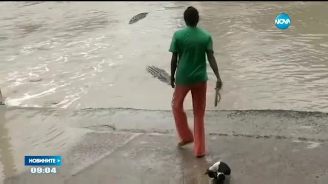 Жена прогони крокодил с джапанка